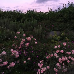 The Sermon ft MATT and Davy