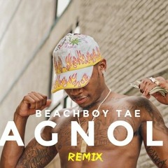 BEACHBOYTAE - MAGNOLIA FREESTYLE