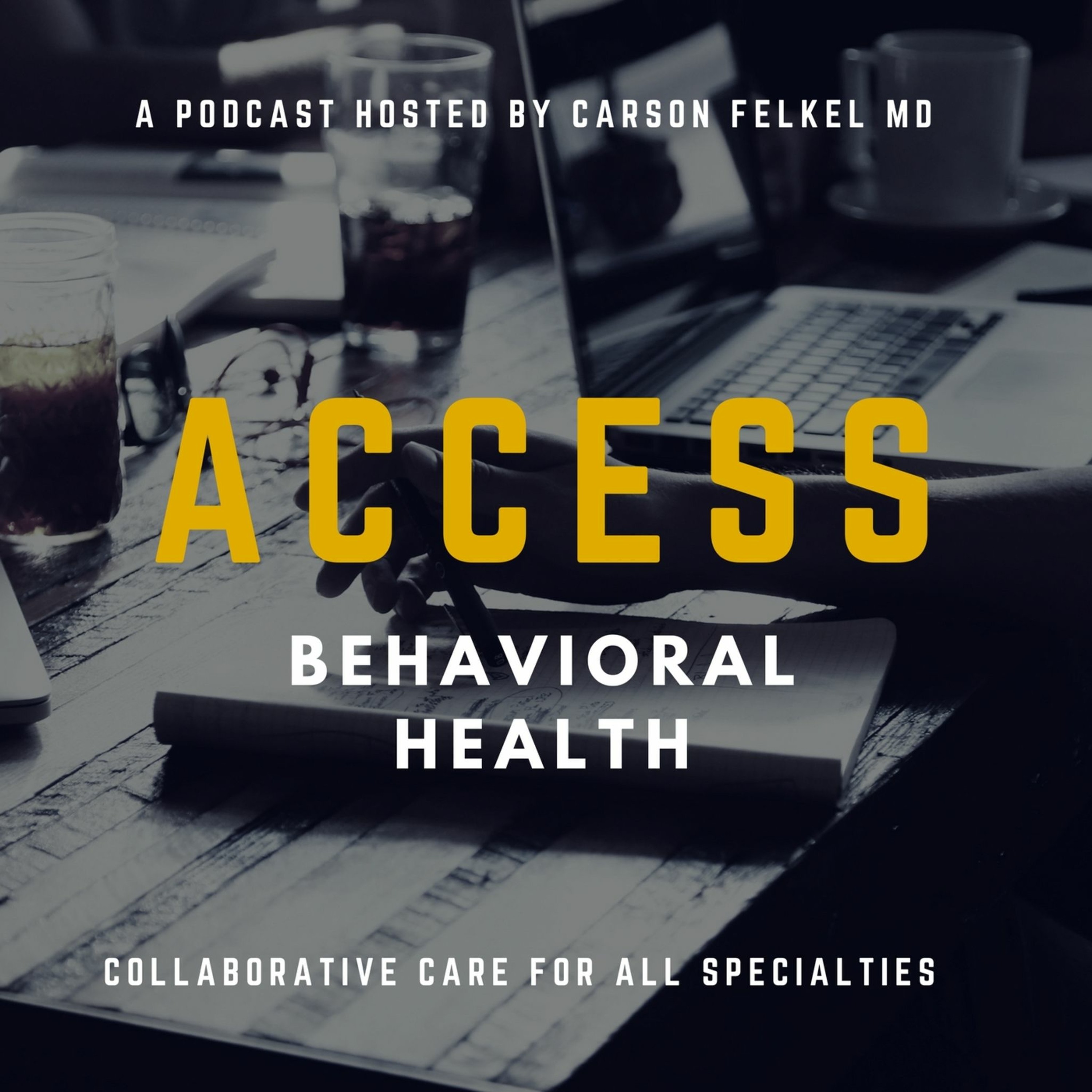 Introduction to Behavioral Health Access episode artwork