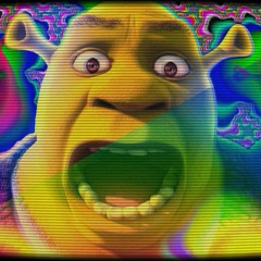 Shrek - Welcome to Duloc Remix - (Attic Stein)