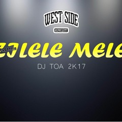 dj toa 2k17 - Zilele Mele ft Daddy Yankee & Kat DeLuna [Reggaeton]