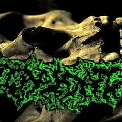 Lapidate - Smells Like Sex In Here