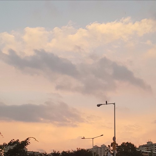 별, 바람, 그 순간