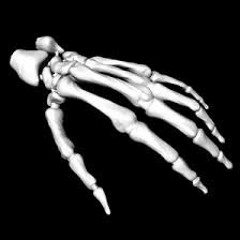 KAMAKZI prod(LOKON & GHXZTKID)