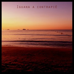 Iguana a Contrapié | Podcast by MEL BELL