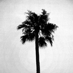 Rhythm-West Coast View Living(Gfunk)