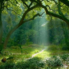 Escapade Buissonnière