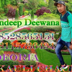 Rate_Diya_Buta_Ke_Piya_Kya_kya Kiya_ DJ Sandeep Deewana ApanSinger.IN