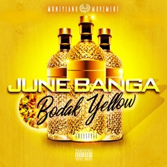 Bodak Yellow Freestyle