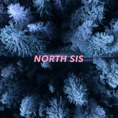 TIESTO - RED LIGHTS (North Sis Cover)