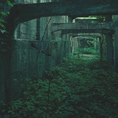 Six hundred and fifty-four