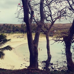Rapa Nui Style 2