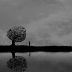 Reflectionz (Hip Hop)