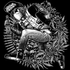 Complete Rectal Prolapse (Regurgitate cover)