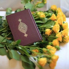 وَلَا تَحْسَبَنَّ الَّذِينَ قُتِلُوا فِي سَبِيلِ اللَّهِ أَمْوَاتًا | القطامي