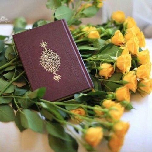 وَلَا تَحْسَبَنَّ الَّذِينَ قُتِلُوا فِي سَبِيلِ اللَّهِ أَمْوَاتًا | القطامي