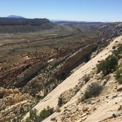 Episode 25: The Interstellar Wildlife Fund And Other Ramblings