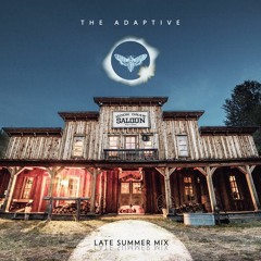 Late Summer Downtempo/Ambient Mix (2017)