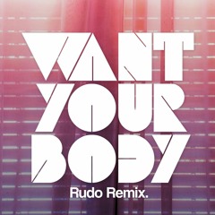 Aaron North - Want Your Body (Rudo Remix)