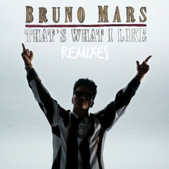 Bruno Mars - That's What I Like [Wella Remix]