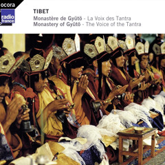 Tibet: The Monastery of Gyütö (excerpt2)