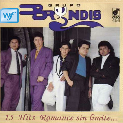 Stream Brindis Mix-Las Mejores Canciones En Un Solo Mix..mp3 by TodoRemix |  Listen online for free on SoundCloud