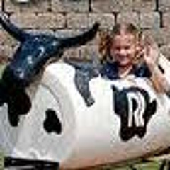 Ride In The Cow Train