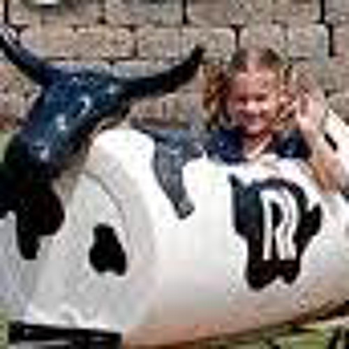 Ride In The Cow Train