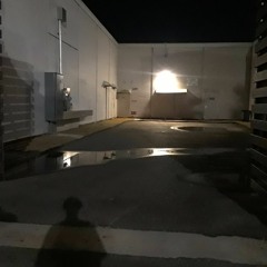 shadows follwing aint need you