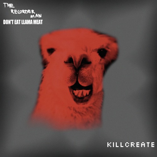 3. The Recorder Man - Don't Eat Llama Meat