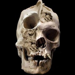 WHY (Prod. Menezing)