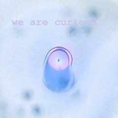 We Are Curious About This Day