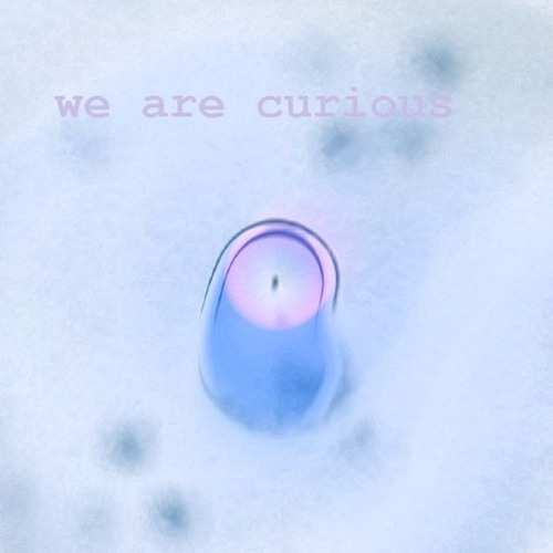 We Are Curious About This Day