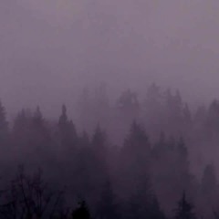 stuck in my head forever