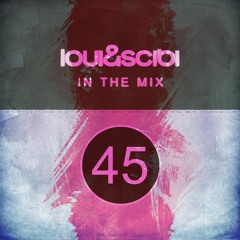 In The Mix 45