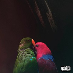 Flying Blind x Peels