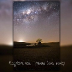 Ragnbone Man - Human (Remix Lems )