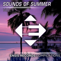 The Reign - Never Going To Give You Up (Original Mix)