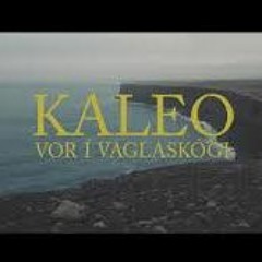 Kaleo-Vor í Vaglaskógi (DJ Stjáni Short Re-Drum)
