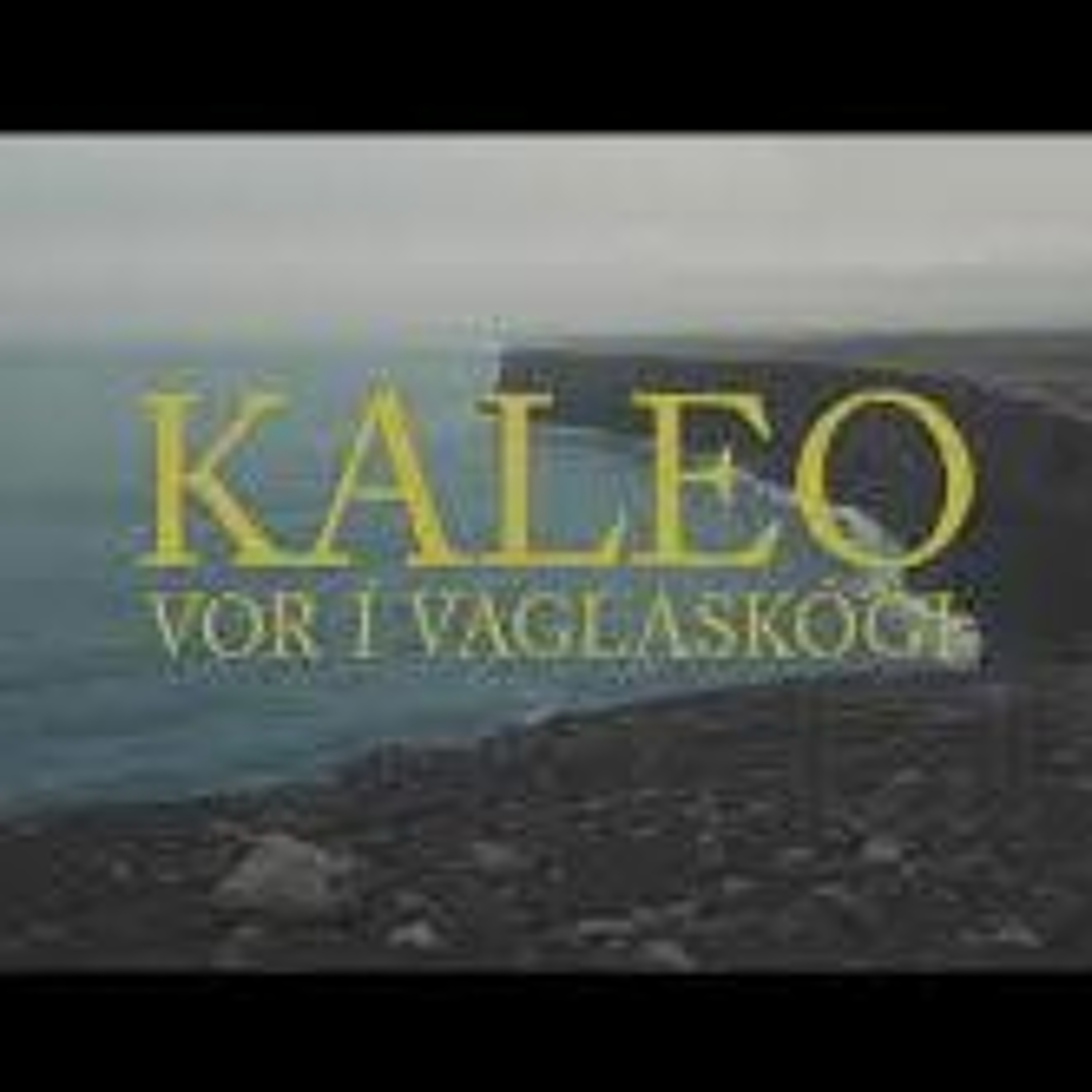 Kaleo-Vor í Vaglaskógi (DJ Stjáni Short Re-Drum) episode artwork