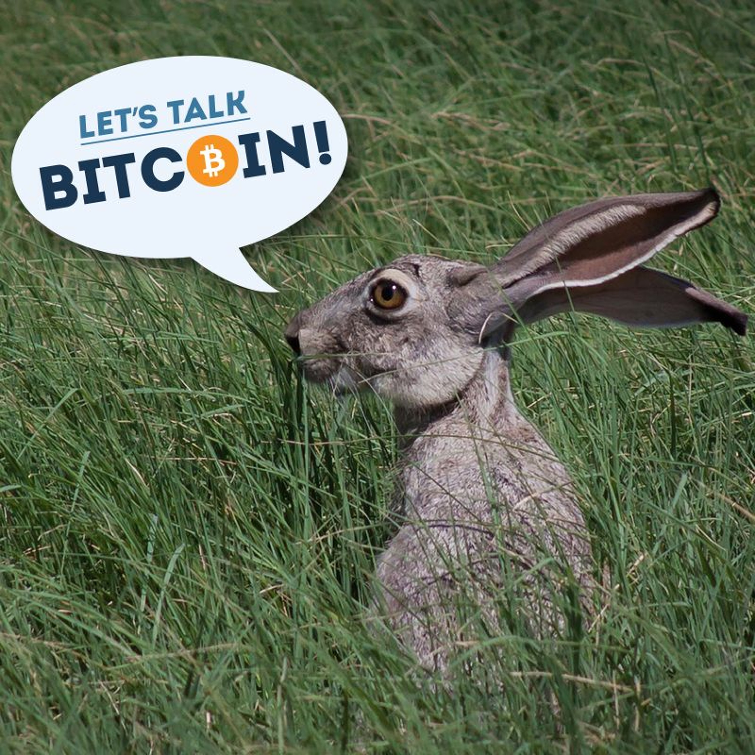 Let's Talk Bitcoin! #342 - Listen Up