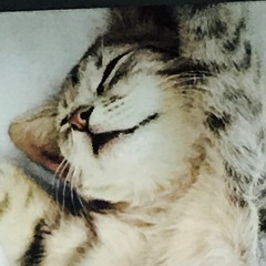 Happy Birthday To Me