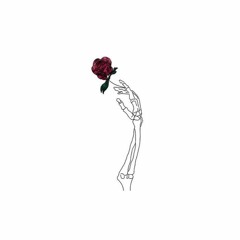 bih 2 sad 4 u