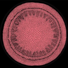 A1. Soramimi - Collapsed Gods - MOFF002 (full stream)