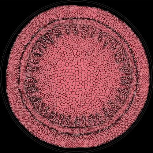 A1. Soramimi - Collapsed Gods - MOFF002 (full stream)