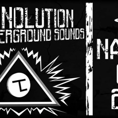 Merlin - Technolution NatureOne Camp 2017