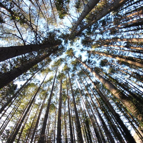 Another Floating Satellite Live looping