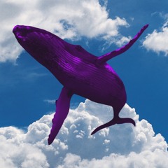 I had a dream but I don't remember