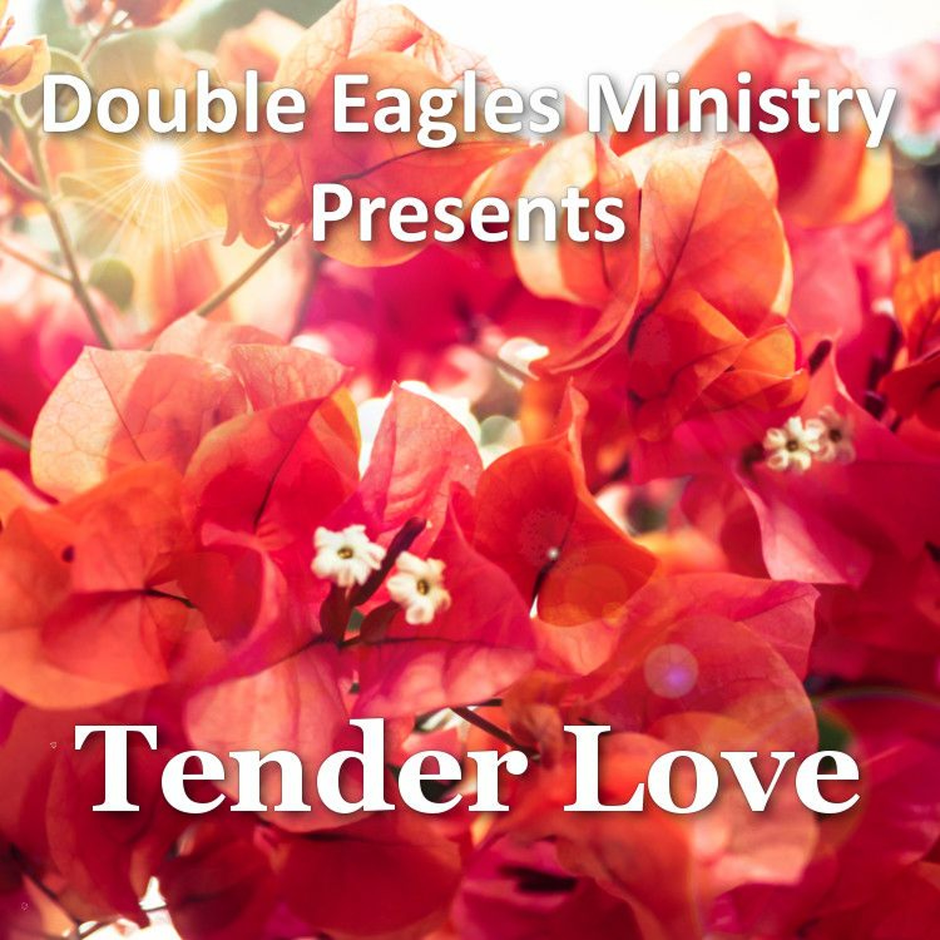 Tender Love episode artwork