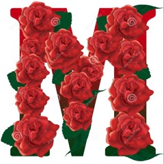 M TO THE ROSE